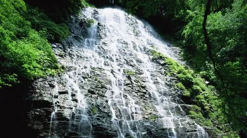 高效稳定性高端